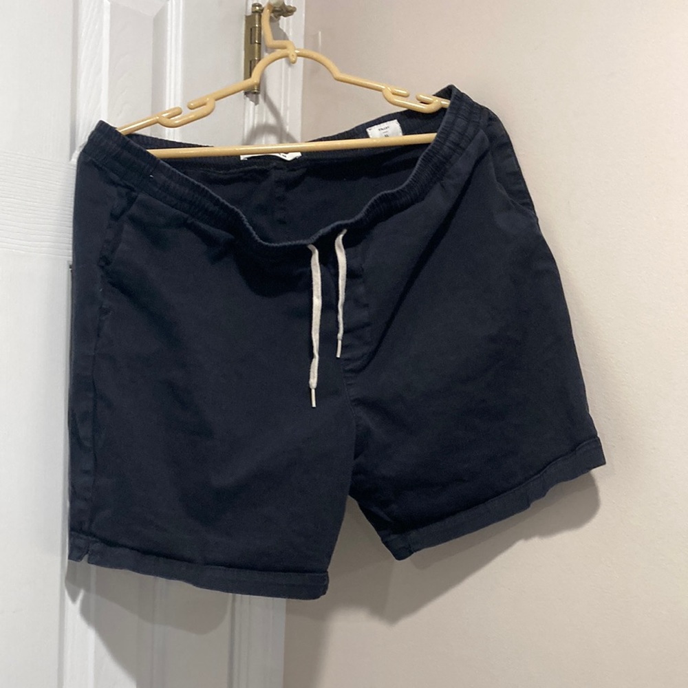 Pacsun Mens Volley Shorts